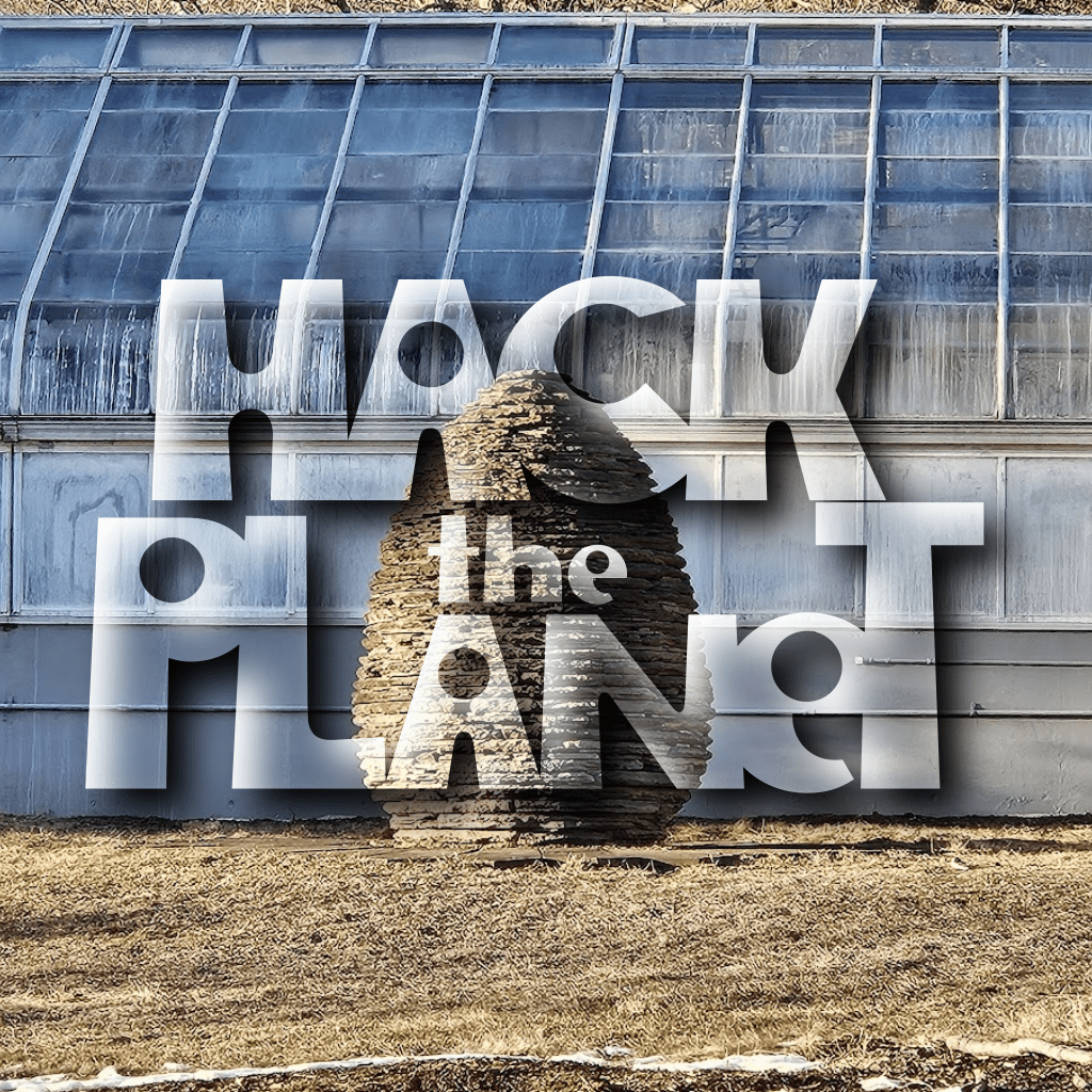 Hack The Planet 546 on 6-7-25 –&nbsp;Rollers